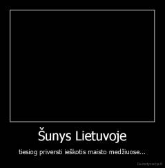 Šunys Lietuvoje - tiesiog priversti ieškotis maisto medžiuose...