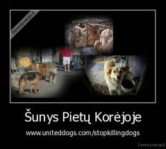 Šunys Pietų Korėjoje - www.uniteddogs.com/stopkillingdogs
