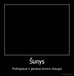 Šunys - Protingiausi ir geriausi zmoniu draugai