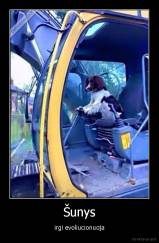 Šunys - irgi evoliucionuoja