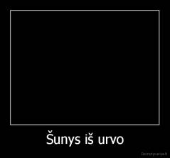 Šunys iš urvo - 