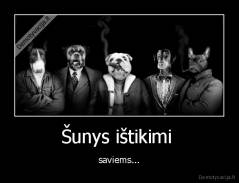 Šunys ištikimi  - saviems...