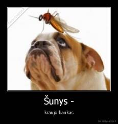 Šunys - - kraujo bankas