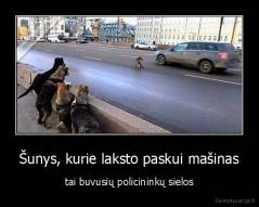 Šunys, kurie laksto paskui mašinas - tai buvusių policininkų sielos