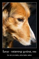 Šunys - nelaimingi gyvūnai, nes - Jie visi yra kalės, arba kalės vaikai.