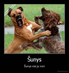 Šunys - Šunys visi ju nori