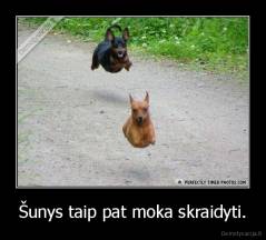 Šunys taip pat moka skraidyti. - 