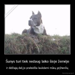 Šunys turi tiek nedaug laiko šioje žemėje - ir didžiąją dalį jo praleidžia laukdami mūsų grįžtančių