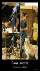 Šunys užuodžia - Kur nesenai buvo dešrelė