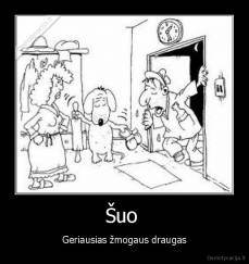 Šuo  - Geriausias žmogaus draugas