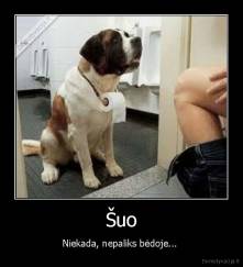 Šuo - Niekada, nepaliks bėdoje... 