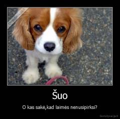 Šuo - O kas sakė,kad laimės nenusipirksi?
