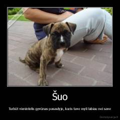 Šuo - Turbūt vienintelis gyvūnas pasaulyje, kuris tave myli labiau nei save