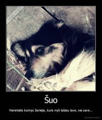 Šuo - Vienintelis kūrinys žemėje, kuris myli labiau tave, nei save...