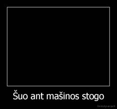 Šuo ant mašinos stogo - 
