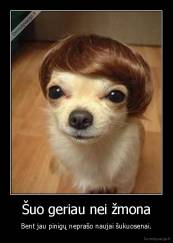 Šuo geriau nei žmona - Bent jau pinigų neprašo naujai šukuosenai.