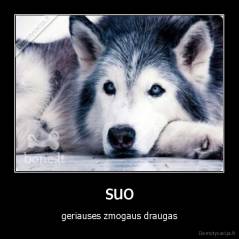 suo - geriauses zmogaus draugas