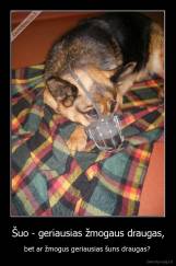 Šuo - geriausias žmogaus draugas, - bet ar žmogus geriausias šuns draugas? 