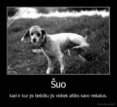 Šuo - kad ir kur jis bebūtu jis vistiek atliks savo reikalus.