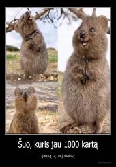 Šuo, kuris jau 1000 kartą - gauną tą patį maistą