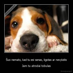 Šuo nemato, kad tu esi senas, ligotas ar nevykėlis - Jam tu atrodai tobulas