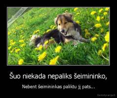 Šuo niekada nepaliks šeimininko, - Nebent šeimininkas paliktu jį pats...