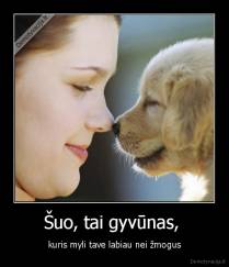 Šuo, tai gyvūnas,  - kuris myli tave labiau nei žmogus