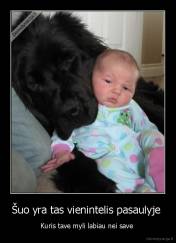 Šuo yra tas vienintelis pasaulyje  - Kuris tave myli labiau nei save 