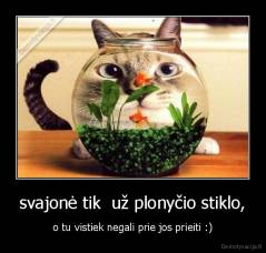 svajonė tik  už plonyčio stiklo, - o tu vistiek negali prie jos prieiti :)