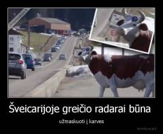 Šveicarijoje greičio radarai būna  - užmaskuoti į karves