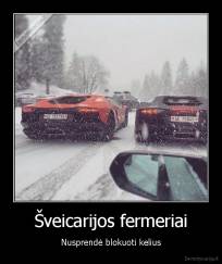 Šveicarijos fermeriai - Nusprendė blokuoti kelius