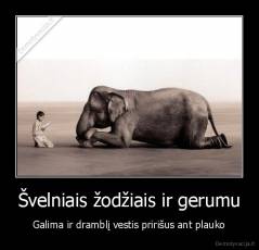 Švelniais žodžiais ir gerumu - Galima ir dramblį vestis pririšus ant plauko