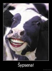Šypsena! - 