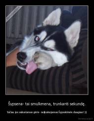 Šypsena- tai smulkmena, trunkanti sekundę. - Tačiau jos sukuriamas gėris- neįkainojamas.Šypsokimės daugiau!:))