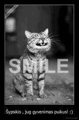Šypsikis , jug gyvenimas puikus! :) - 