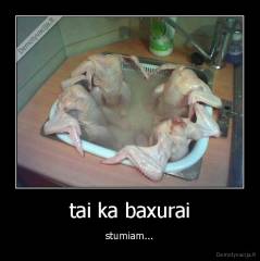 tai ka baxurai - stumiam...