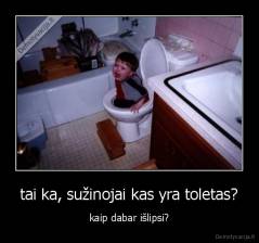 tai ka, sužinojai kas yra toletas? - kaip dabar išlipsi?