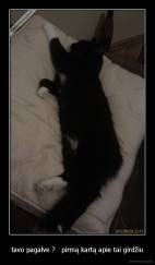 tavo pagalve ?   pirmą kartą apie tai girdžiu - 