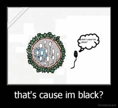that's cause im black? - 