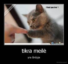 tikra meilė - yra širdyje