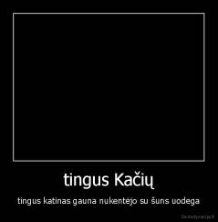 tingus Kačių - tingus katinas gauna nukentėjo su šuns uodega