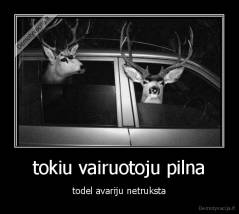 tokiu vairuotoju pilna - todel avariju netruksta