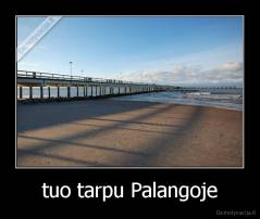 tuo tarpu Palangoje - 