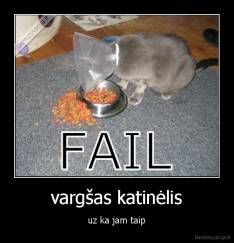 vargšas katinėlis - uz ka jam taip