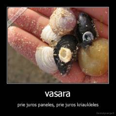 vasara - prie juros paneles, prie juros kriaukleles