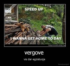 vergove  - vis dar egzistuoja 