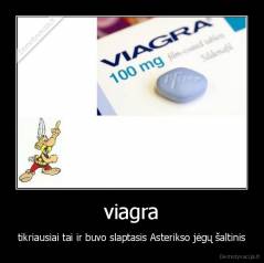 viagra - tikriausiai tai ir buvo slaptasis Asterikso jėgų šaltinis