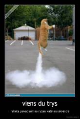 viens du trys - raketa pavadinimas ryzas katinas iskrenda