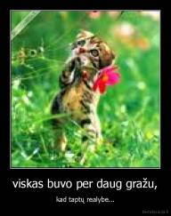 viskas buvo per daug gražu, - kad taptų realybe...
