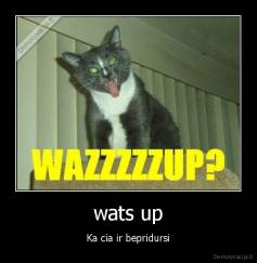 wats up - Ka cia ir bepridursi